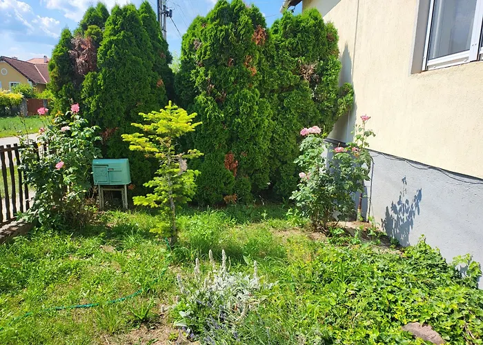 Kali Medence Kapuja 1